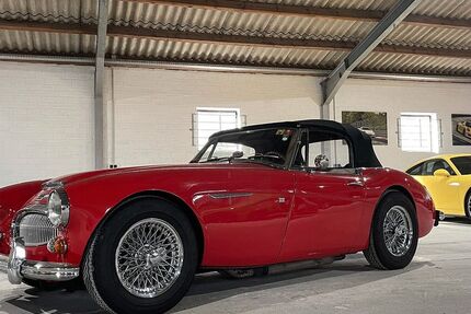 Austin Healey Andere 33.800 km 74.900 &euro; Krefeld 47809