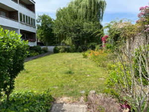 Bild4