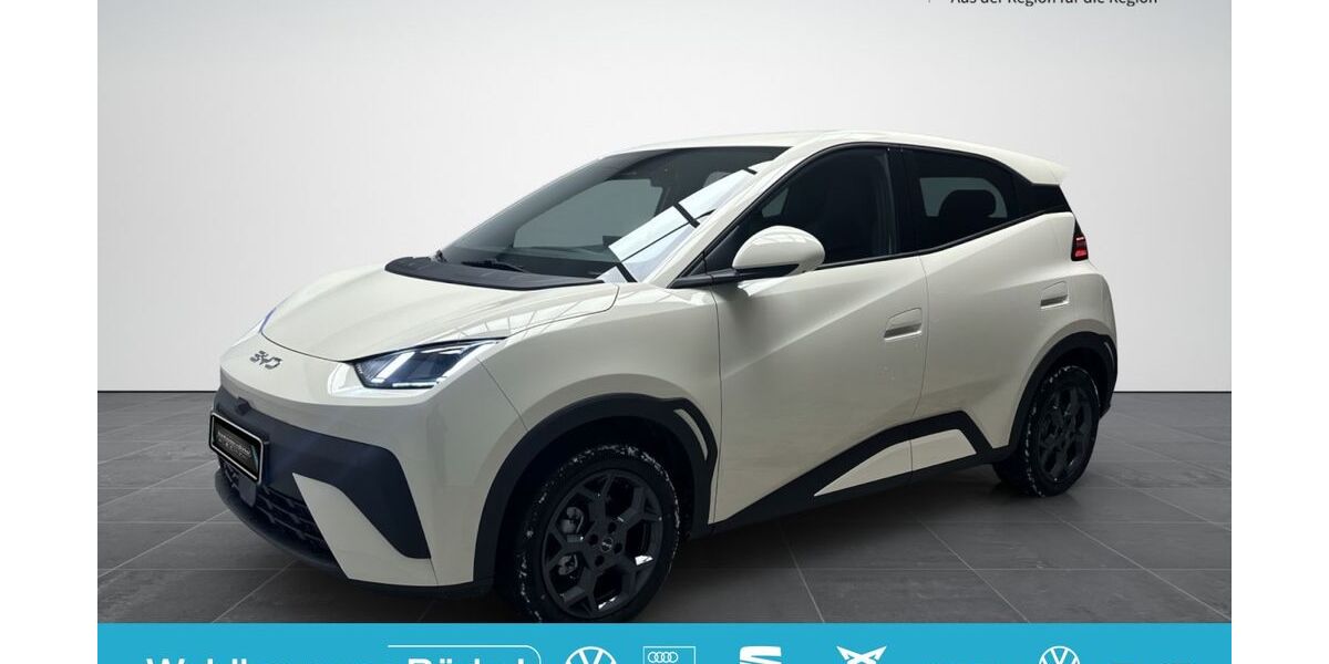 BYD DOLPHIN SURF 3.500 km 24.790 &euro; Moenchengladbach 41063