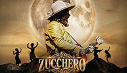 Zucchero