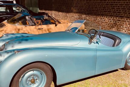 Jaguar Andere 6.342 km 90.000 &euro; Grevenbroich 41516