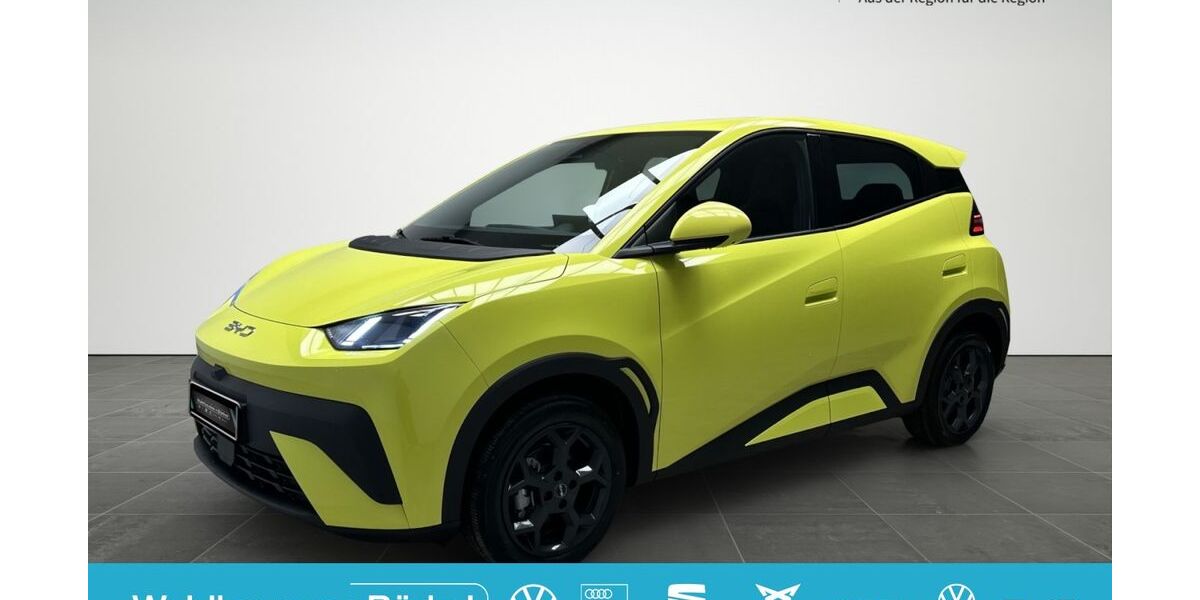 BYD DOLPHIN SURF 1.950 km 24.390 &euro; Moenchengladbach 41063