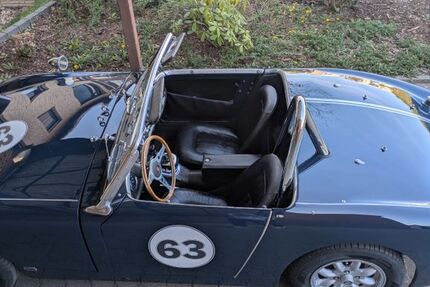 Austin Healey Andere 31.000 km 22.900 &euro; Moers 47447