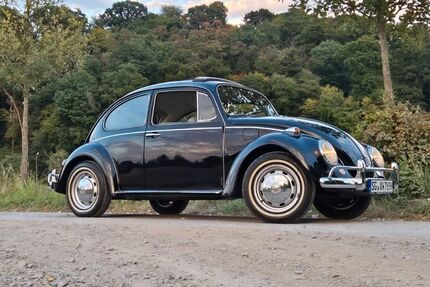 VW Käfer 100.000 km 15.900 &euro; Solingen 42699
